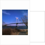 View of Verrazano Narrows Bridge by Anonymous