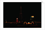 Night View of Tokyo Tower Located in Center of City by Anonymous