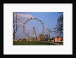 Giant Ferris Wheel in Prater Amusement Park by Anonymous