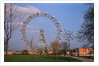 Giant Ferris Wheel in Prater Amusement Park by Anonymous