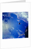 View of Agena Target Vehicle in Sky by Anonymous