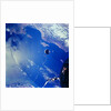 View of Agena Target Vehicle in Sky by Anonymous