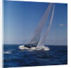 Windblown Sails of Yacht on Open Sea by Anonymous
