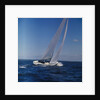 Windblown Sails of Yacht on Open Sea by Anonymous