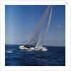 Windblown Sails of Yacht on Open Sea by Anonymous
