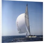 Windblown Sails of Yacht on Open Sea by Anonymous