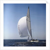 Windblown Sails of Yacht on Open Sea by Anonymous