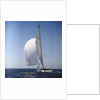 Windblown Sails of Yacht on Open Sea by Anonymous