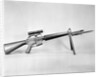 AR-15 Rifle by Anonymous