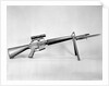 AR-15 Rifle by Anonymous