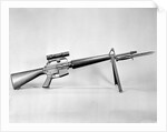 AR-15 Rifle by Anonymous