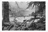 White House Lawn Covered in Snow by Anonymous