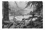 White House Lawn Covered in Snow by Anonymous