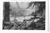 White House Lawn Covered in Snow by Anonymous