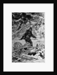 Alleged Photo of Bigfoot by Anonymous