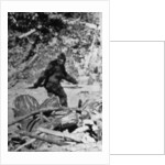 Alleged Photo of Bigfoot by Anonymous