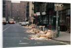 Piles of Garbage Lying on the Street Curb by Anonymous