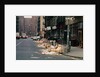 Piles of Garbage Lying on the Street Curb by Anonymous