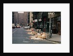 Piles of Garbage Lying on the Street Curb by Anonymous