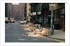 Piles of Garbage Lying on the Street Curb by Anonymous