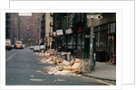 Piles of Garbage Lying on the Street Curb by Anonymous