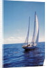 The Gypsy Moth IV by Anonymous