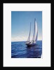 The Gypsy Moth IV by Anonymous