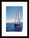 The Gypsy Moth IV by Anonymous