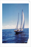 The Gypsy Moth IV by Anonymous