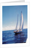 The Gypsy Moth IV by Anonymous