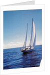 The Gypsy Moth IV by Anonymous