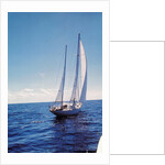 The Gypsy Moth IV by Anonymous