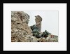 Marines Climbing Ruins by Anonymous