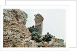 Marines Climbing Ruins by Anonymous