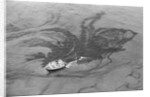 Aerial View of Boat Spilling Oil into Ocean by Anonymous