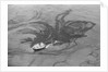 Aerial View of Boat Spilling Oil into Ocean by Anonymous