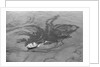Aerial View of Boat Spilling Oil into Ocean by Anonymous