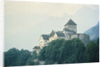 Liechtenstein Castle by Anonymous