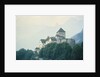 Liechtenstein Castle by Anonymous
