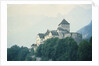 Liechtenstein Castle by Anonymous