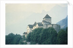 Liechtenstein Castle by Anonymous