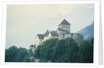 Liechtenstein Castle by Anonymous