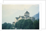 Liechtenstein Castle by Anonymous