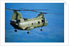 Military Helicopter Flying in Blue Skies by Anonymous
