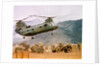 CH-46 Helicopter Picking up Supplies by Anonymous