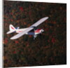 Super Cub Piper Plane by Anonymous