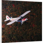 Super Cub Piper Plane by Anonymous