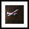 Super Cub Piper Plane by Anonymous