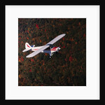 Super Cub Piper Plane by Anonymous