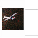 Super Cub Piper Plane by Anonymous